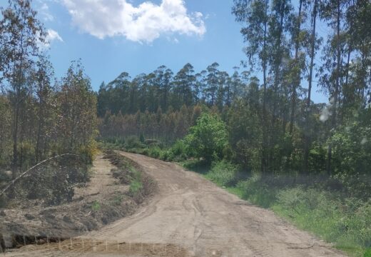 Reeabertas á circulación as vías forestais de Montemair que foran danadas pola realización de talas